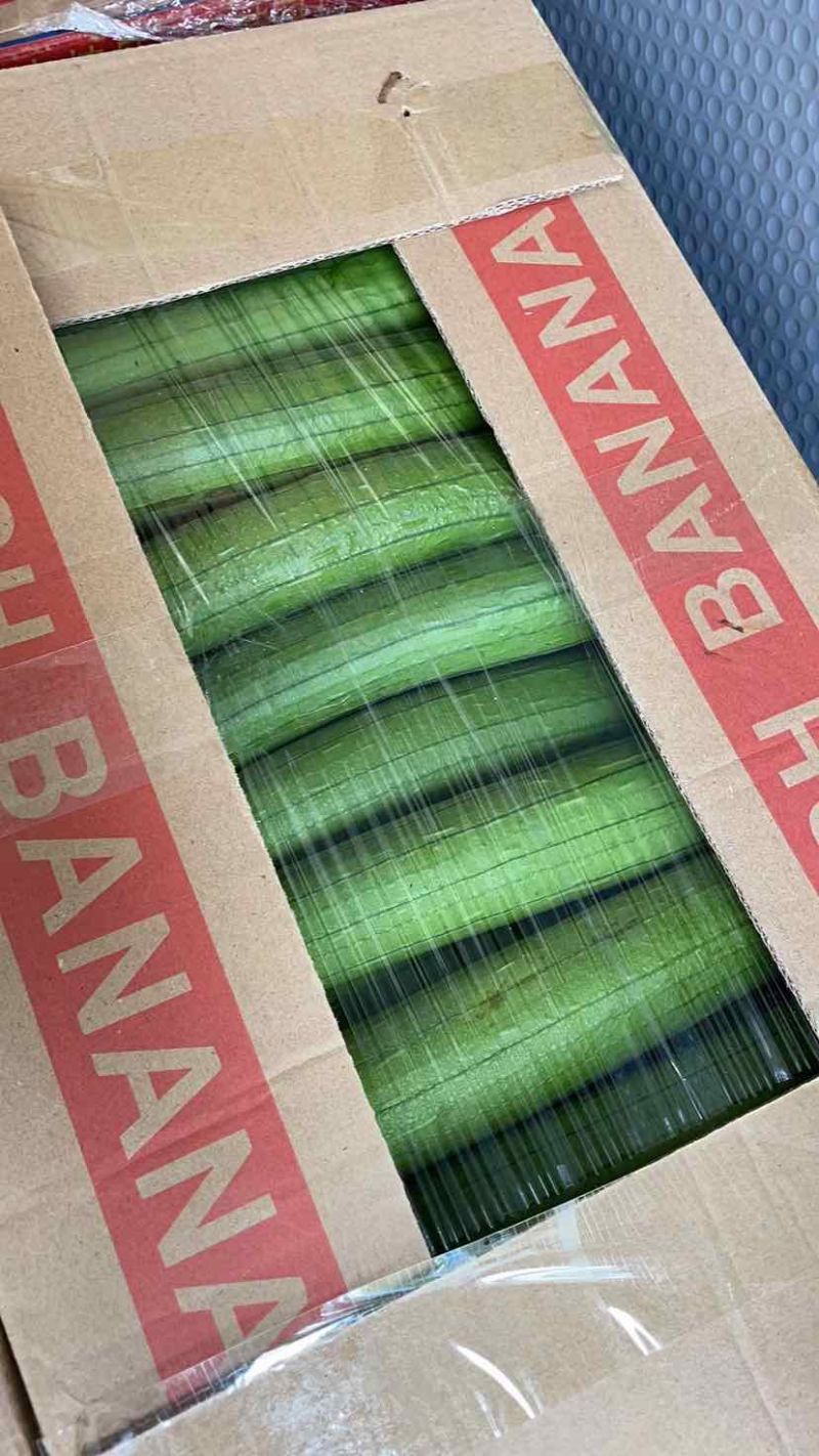 油皮丝瓜