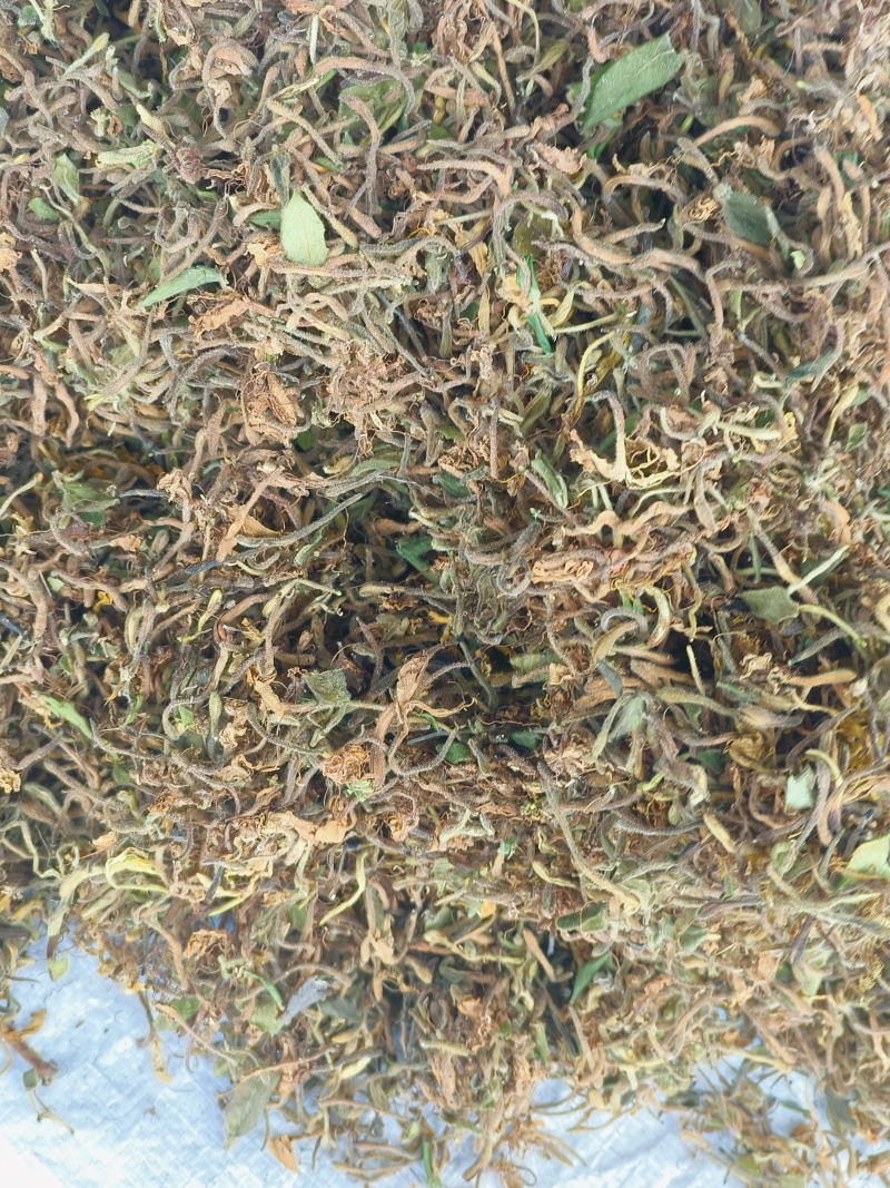 金银花，产地贵州，一手货源，干货统货正品无任何添加
