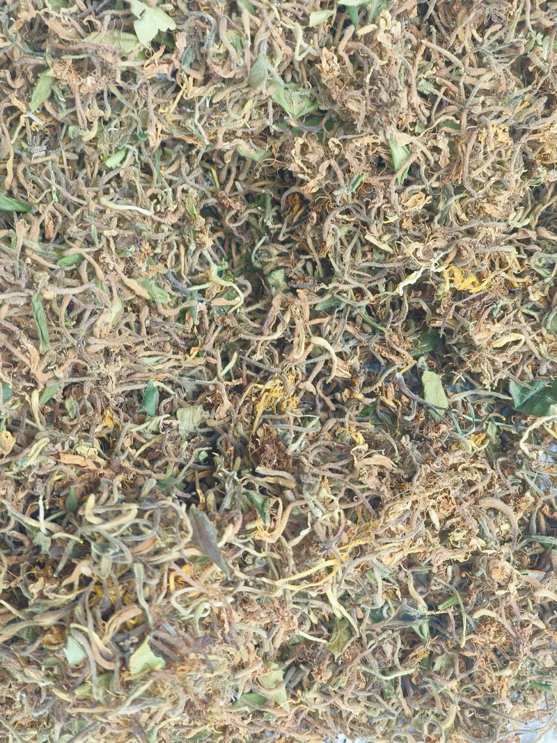 金银花，产地贵州，一手货源，干货统货正品无任何添加