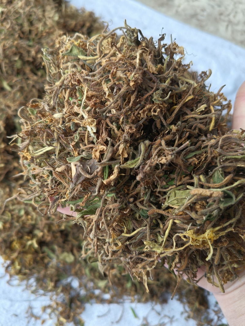 金银花，产地贵州，一手货源，干货统货正品无任何添加