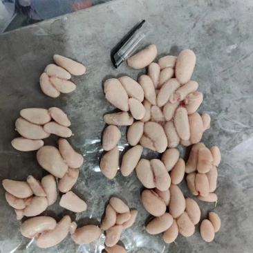鸡腰子小公鸡的