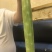 莴笋杆子莴苣杆子