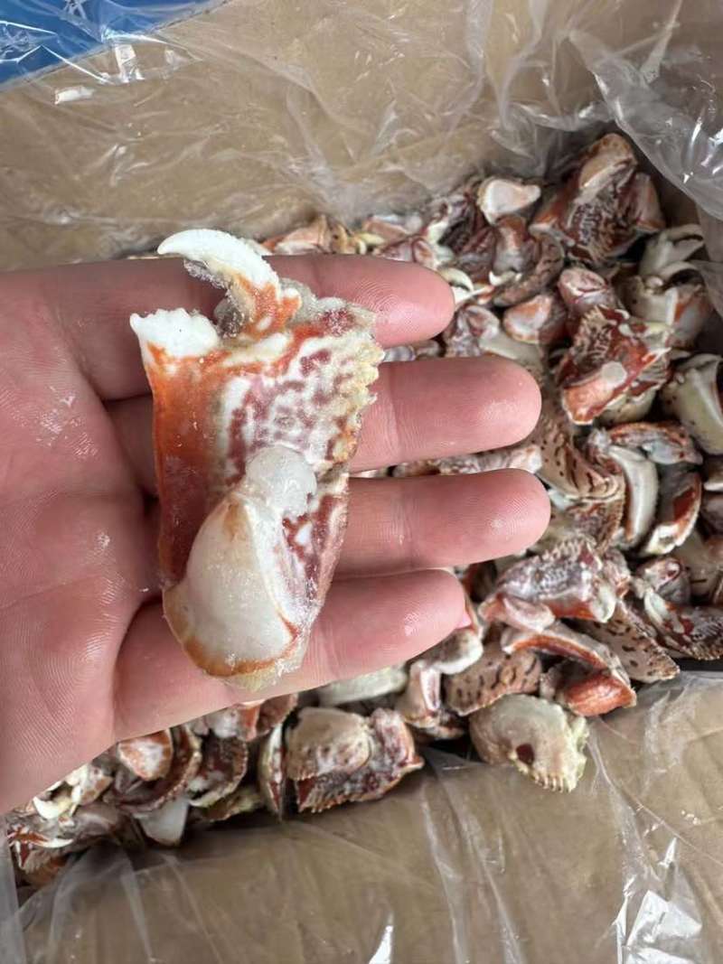 新鲜面包蟹钳肉特大蟹脚鲜活冷冻元宝蟹虎纹腿肉椰子蟹梭子蟹海鲜