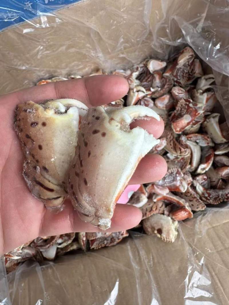 新鲜面包蟹钳肉特大蟹脚鲜活冷冻元宝蟹虎纹腿肉椰子蟹梭子蟹海鲜