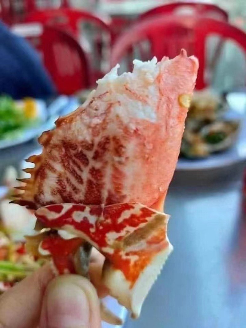 新鲜面包蟹钳肉特大蟹脚鲜活冷冻元宝蟹虎纹腿肉椰子蟹梭子蟹海鲜