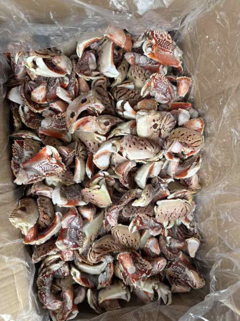 新鲜面包蟹钳肉特大蟹脚鲜活冷冻元宝蟹虎纹腿肉椰子蟹梭子蟹海鲜