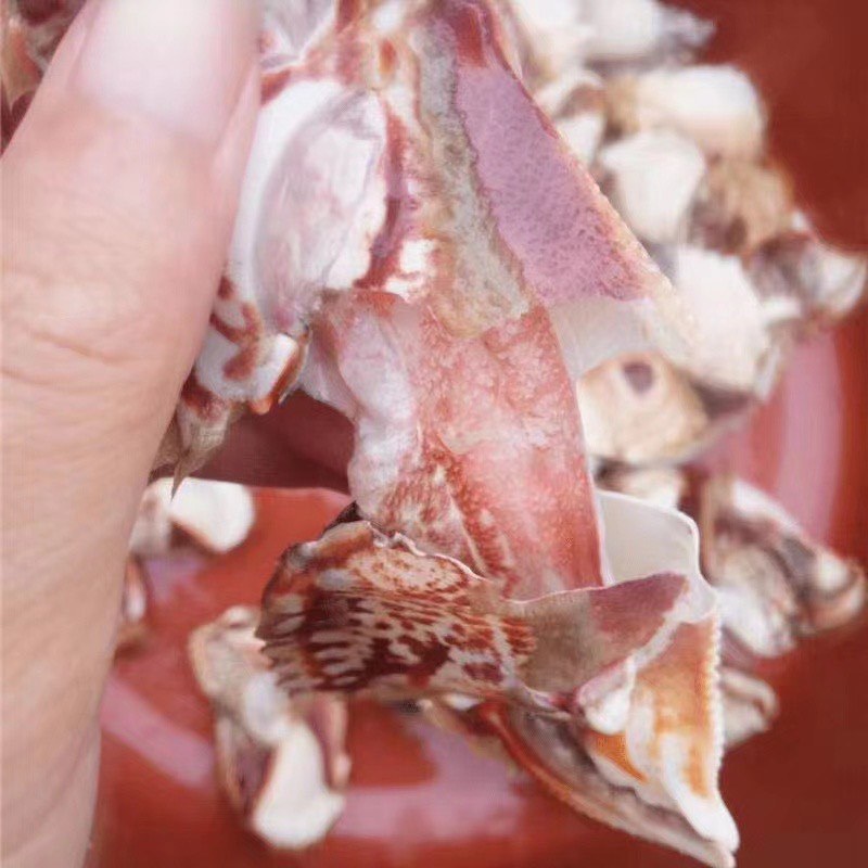 新鲜面包蟹钳肉特大蟹脚鲜活冷冻元宝蟹虎纹腿肉椰子蟹梭子蟹海鲜