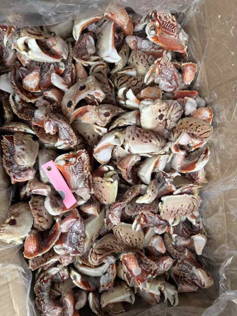 新鲜面包蟹钳肉特大蟹脚鲜活冷冻元宝蟹虎纹腿肉椰子蟹梭子蟹海鲜