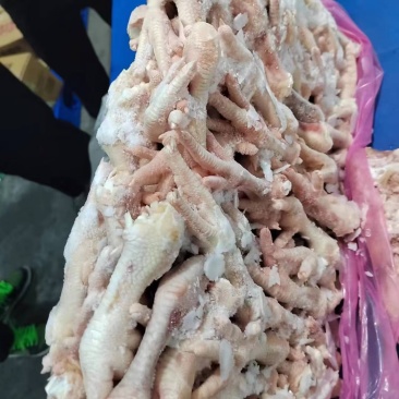 鸡爪