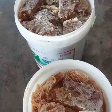 农户深山土蜂蜜