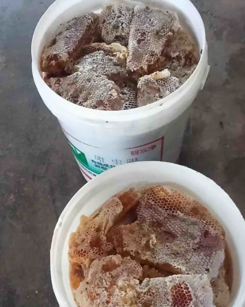 农户深山土蜂蜜