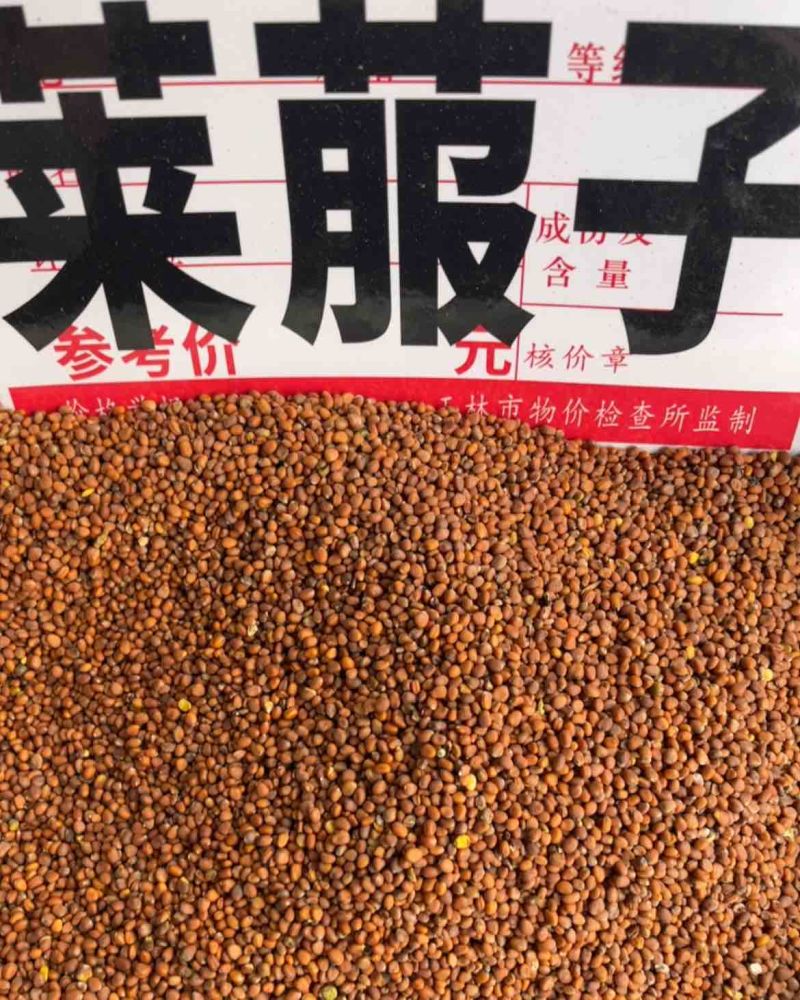 莱菔子