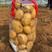 绥中县冷棚土豆，黄皮黄心土豆，大量上市。