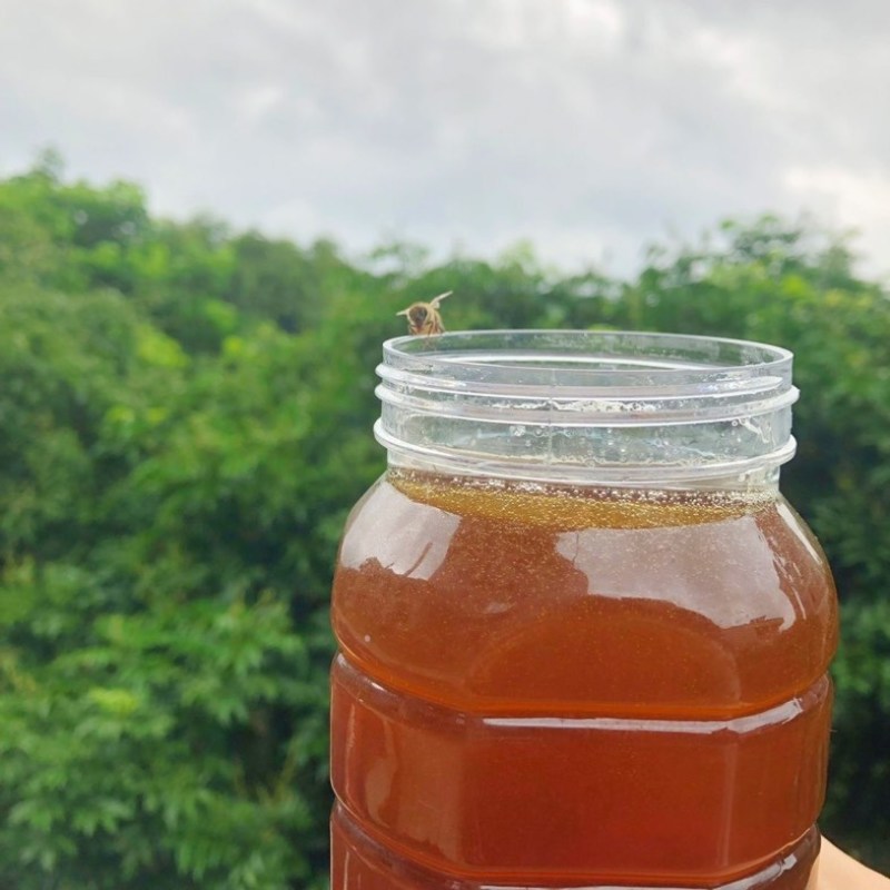 荆条蜂蜜蜂农自产新鲜蜂蜜口味纯正包邮两桶发货面谈电联
