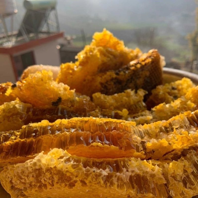 荆条蜂蜜蜂农自产新鲜蜂蜜口味纯正包邮两桶发货面谈电联