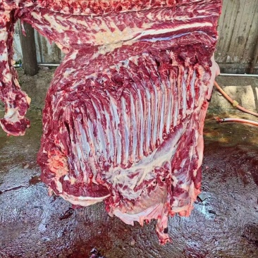现杀驴肉，驴肋条，驴腿肉