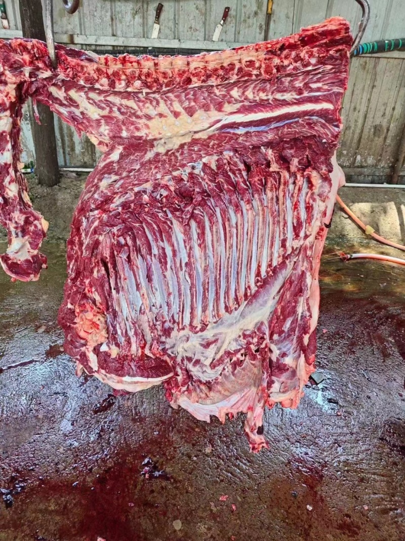 现杀驴肉，驴肋条，驴腿肉