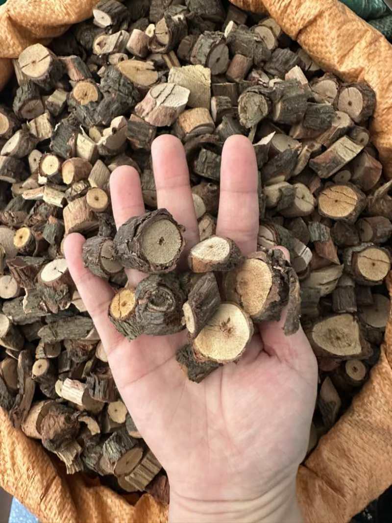 黑老虎根