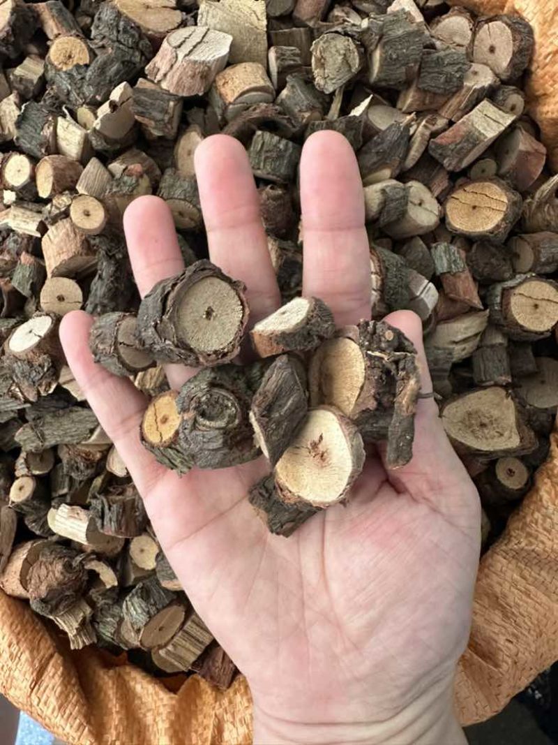 黑老虎根