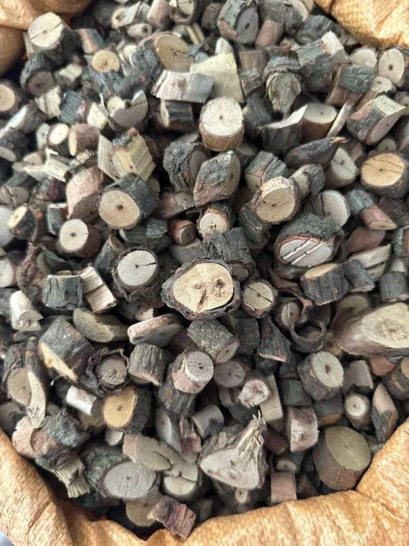 黑老虎根