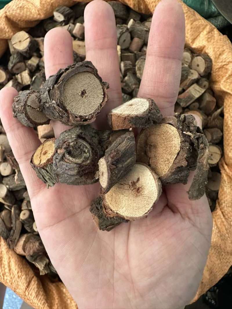 黑老虎根