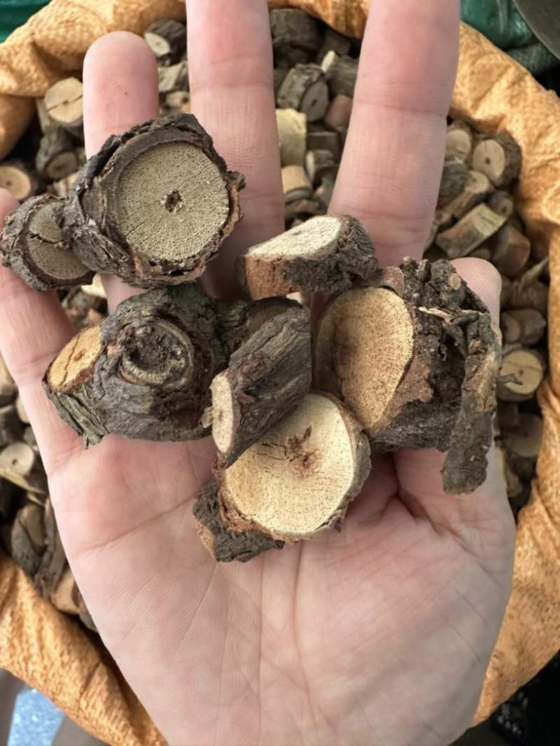 黑老虎根