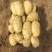 湖北精品黄心土豆，产地大量上，价优可看货欢迎