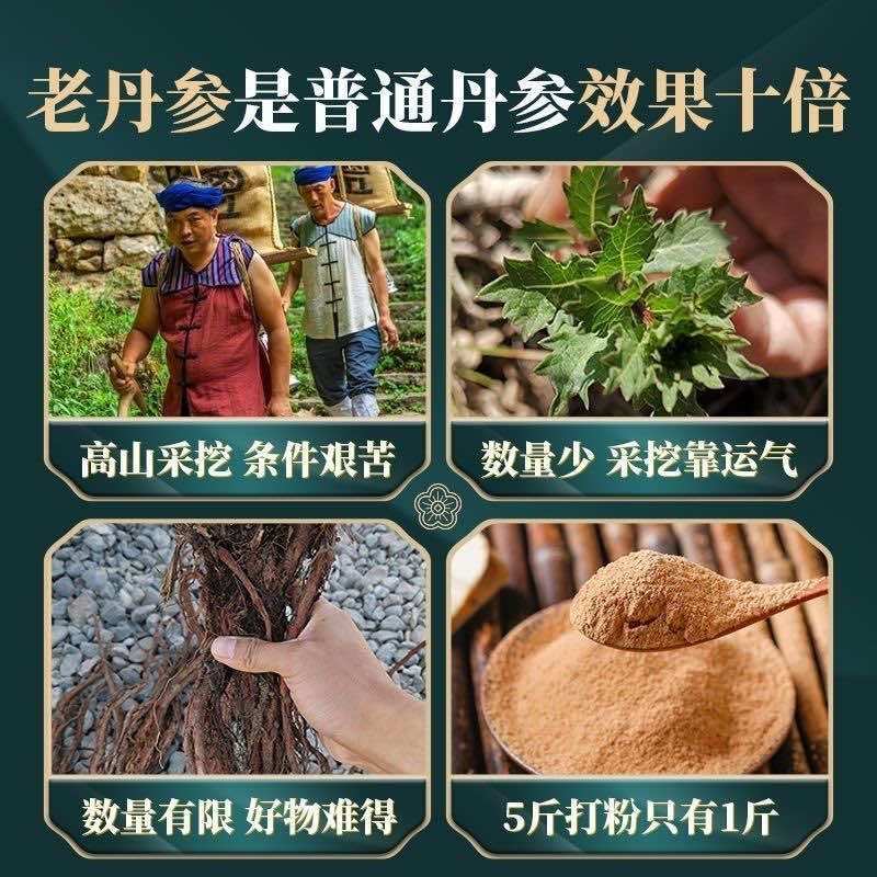 正宗云南野生丹参超细粉一手货源产地直发