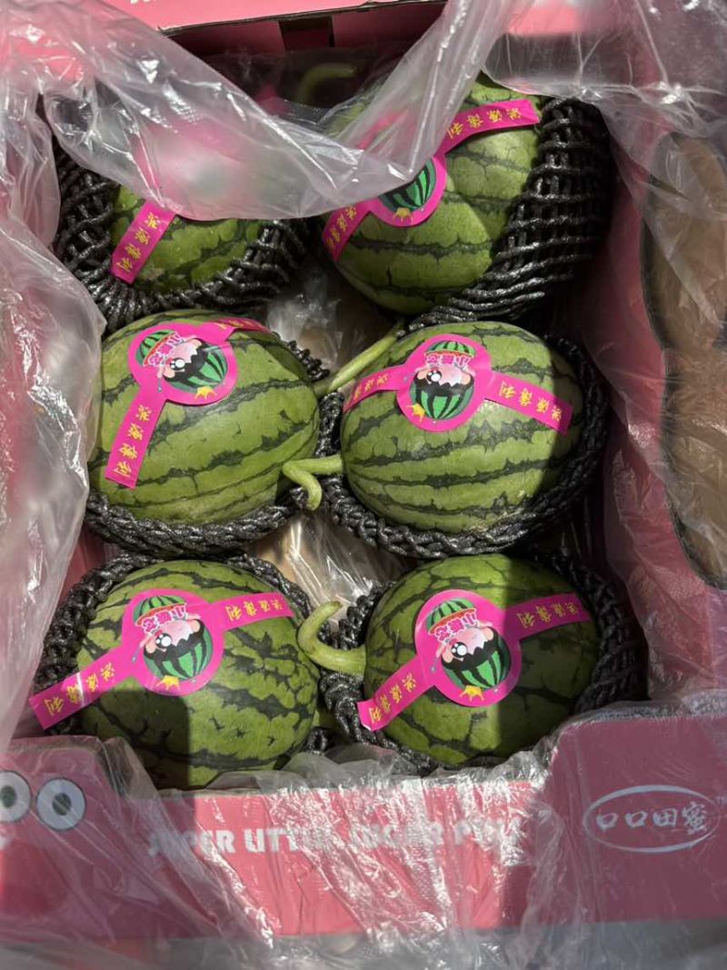 红艳小西瓜种植基地