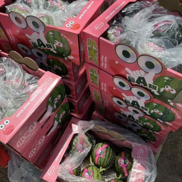 红艳小西瓜种植基地