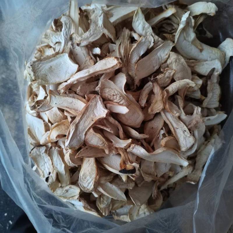 一亩田官方基地认证，大量杏鲍菇干片根片