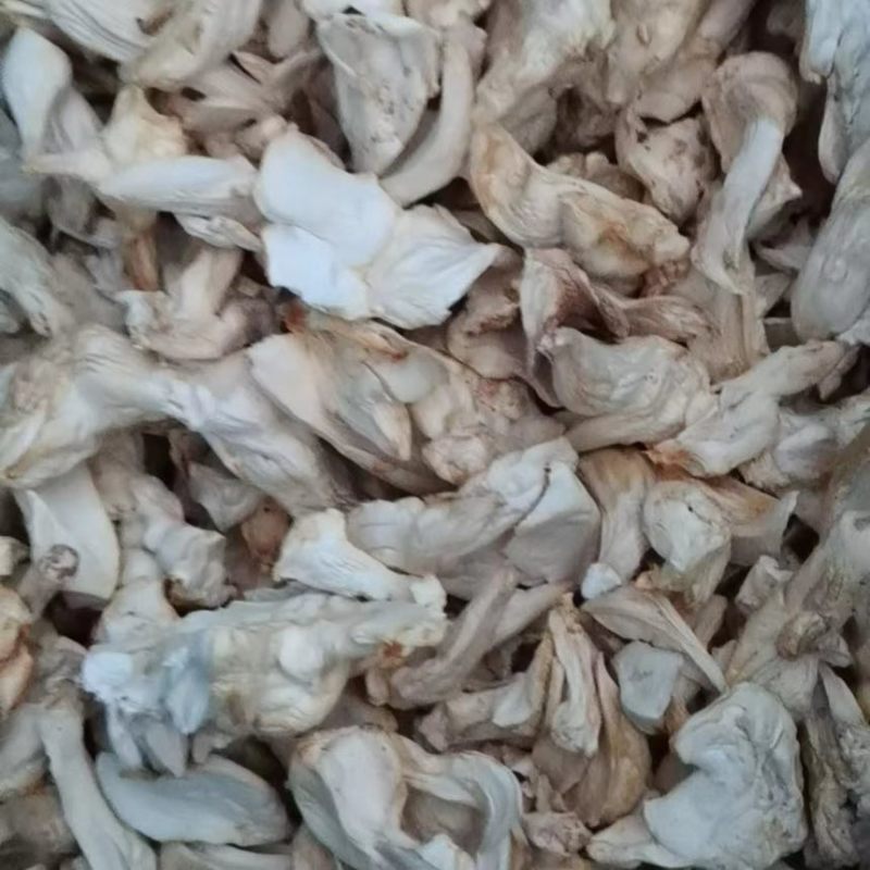 一亩田官方基地认证，大量杏鲍菇干片根片