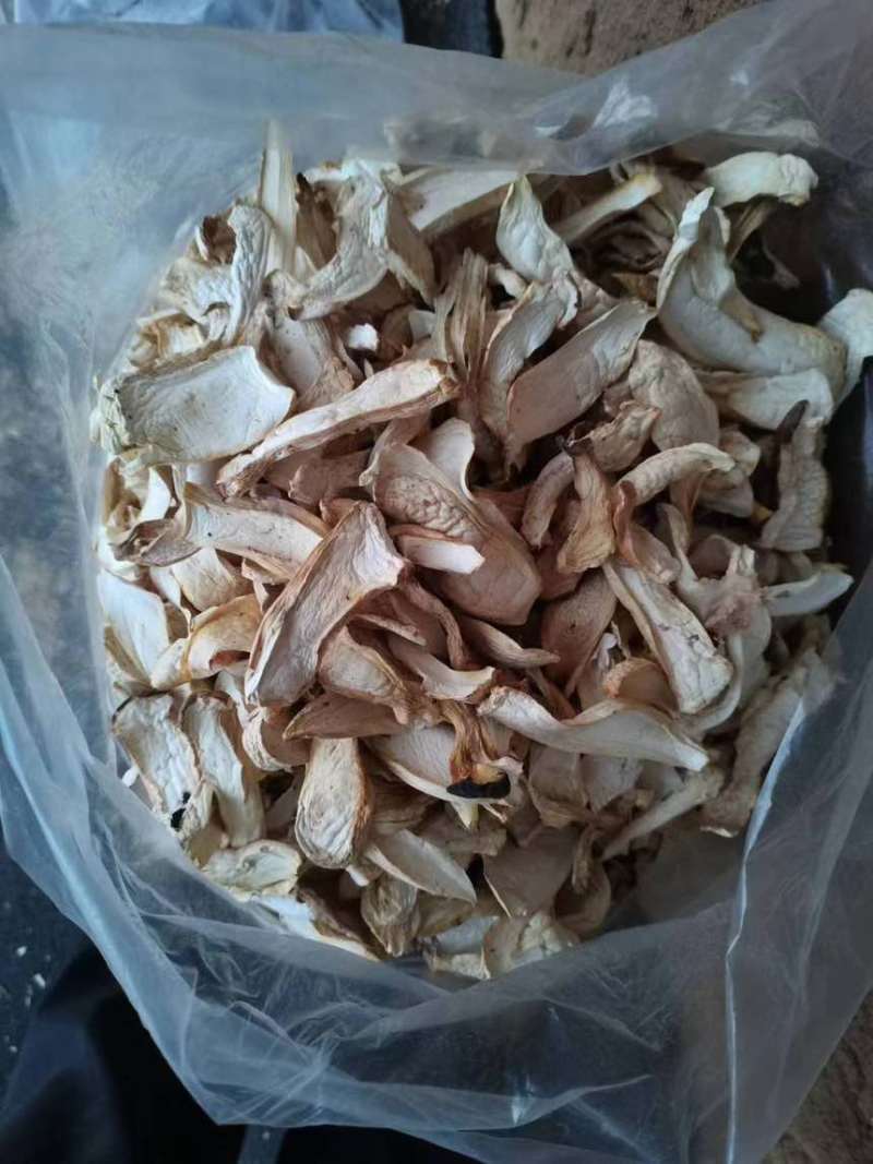 一亩田官方基地认证，大量杏鲍菇干片根片