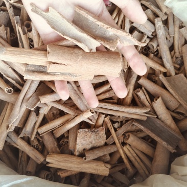 肉桂，烟桂，各种规格