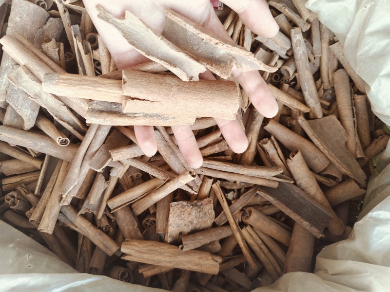 肉桂，烟桂，各种规格