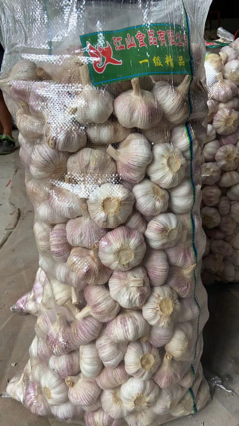 土大蒜，紫红皮大蒜基地大量现货供应，土蒜