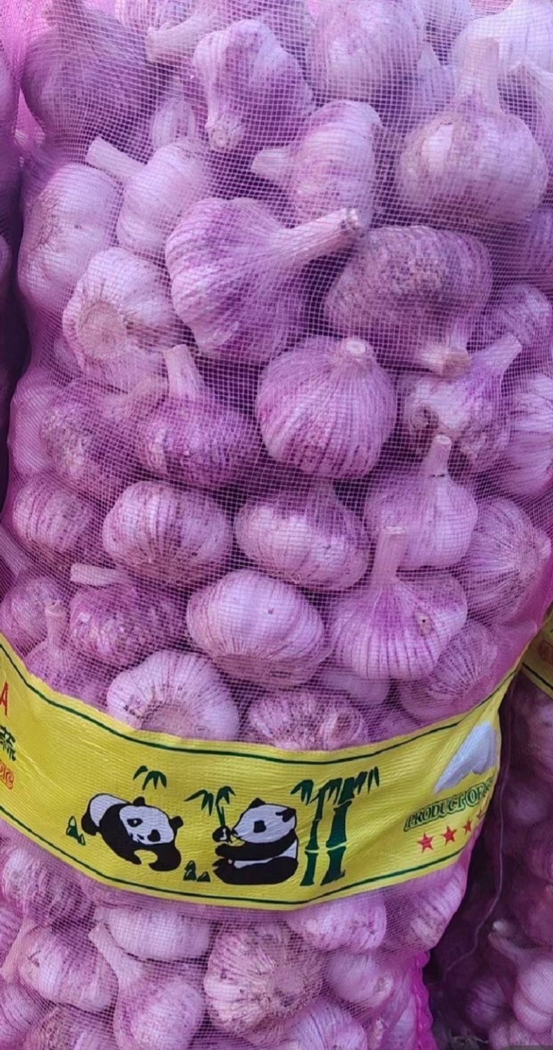 大蒜