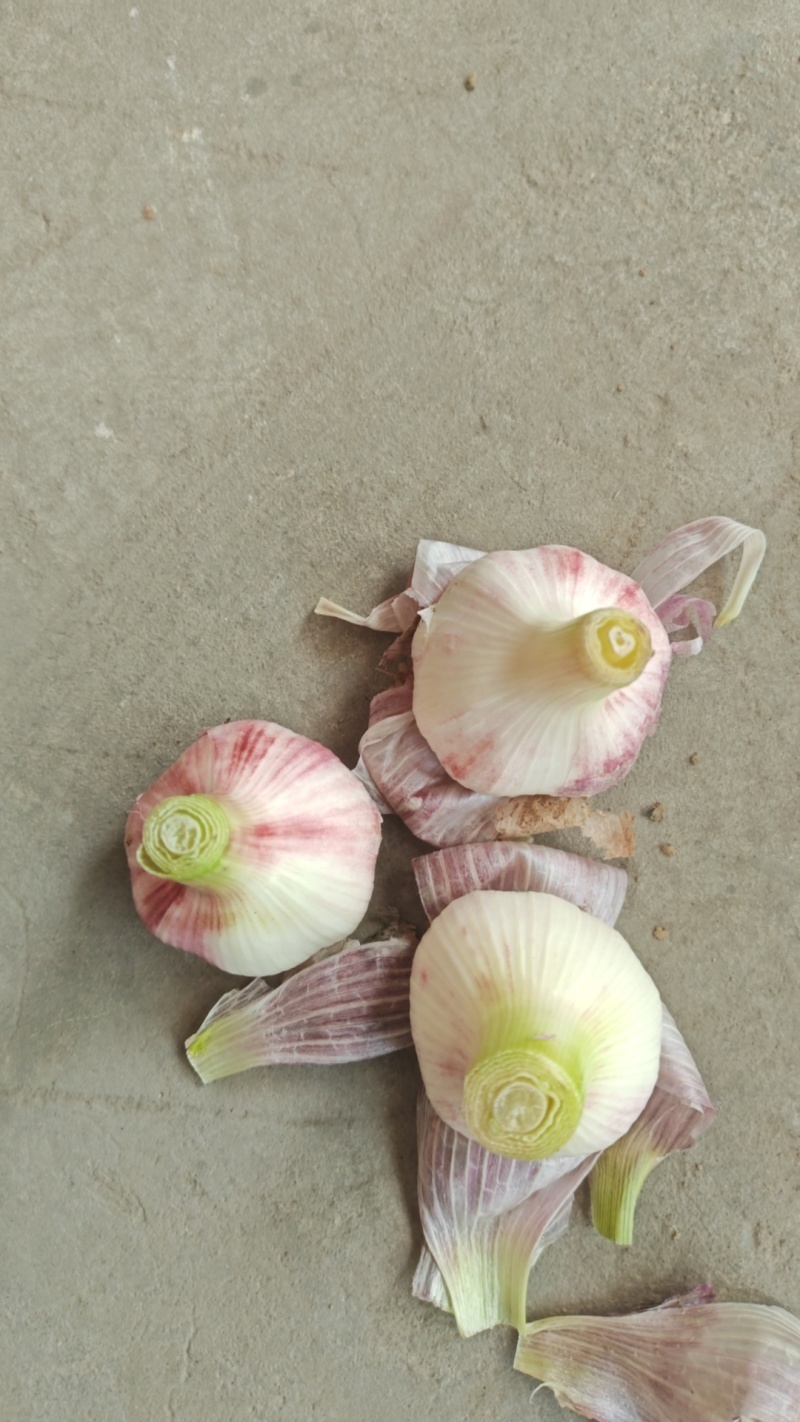 大蒜