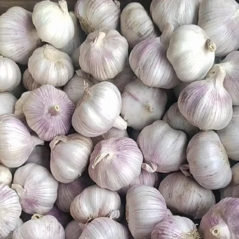 大蒜