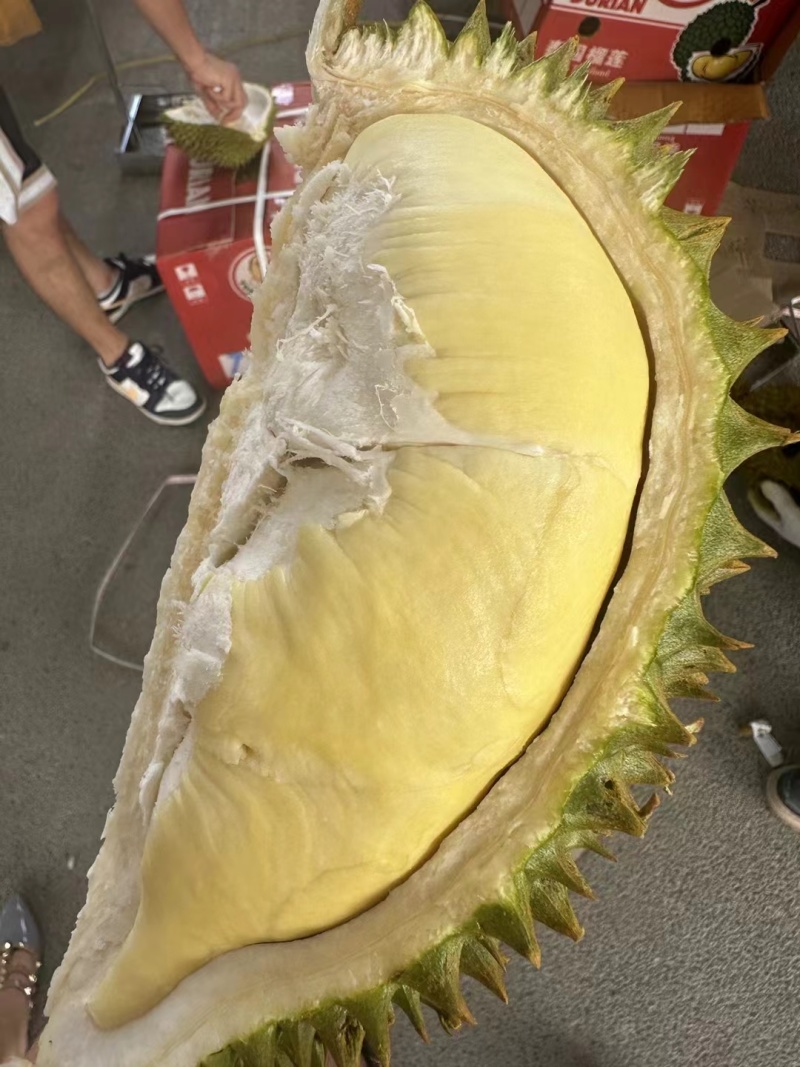 海南金枕榴莲皮薄肉厚核小口感软糯香甜