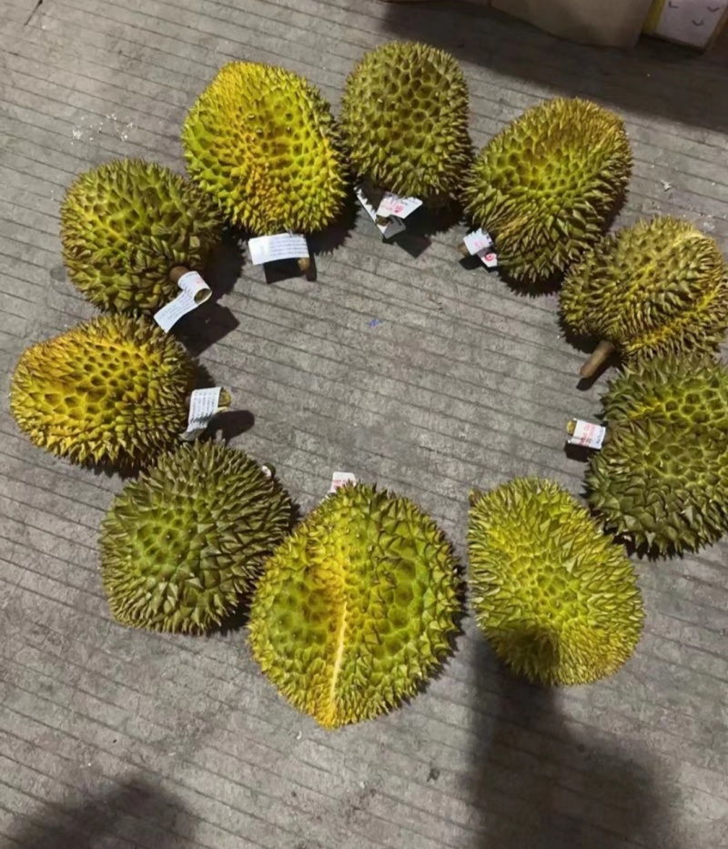 海南金枕榴莲皮薄肉厚核小口感软糯香甜