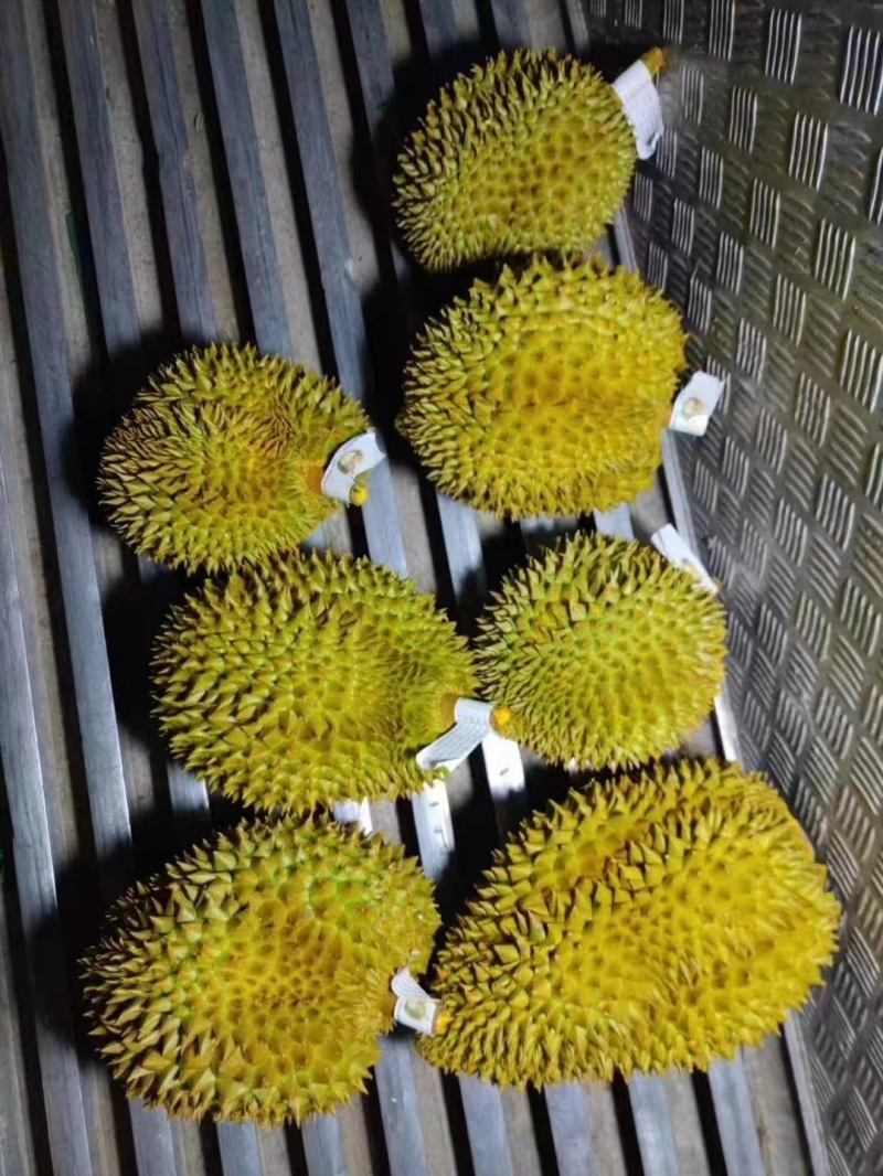 海南金枕榴莲皮薄肉厚核小口感软糯香甜