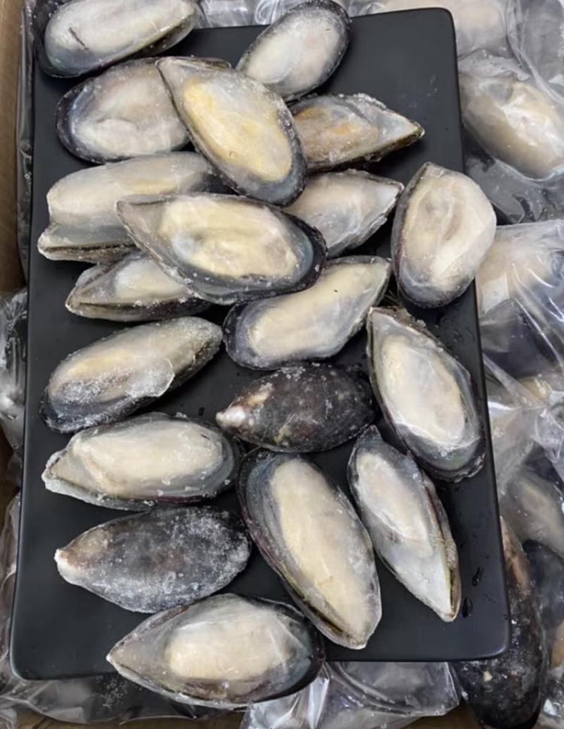 蓝口贝，黑口贝，鲜冻肉肥厚，味甜。大量批发