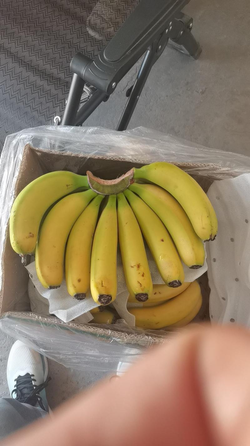各产地直发香蕉，品质有保障，售后三包
