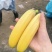 海南香蕉，价格品质有保障