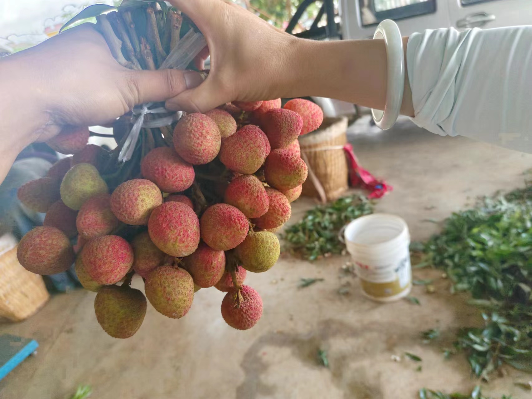 荔枝与驾驶安全的宣传图
