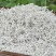 龙须藤茶新茶上市