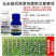 30%苯唑草酮特丁津18%烟嘧硝草酮玉米苗后除草剂抗性杂草