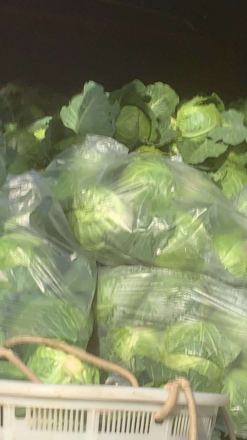精品甘兰