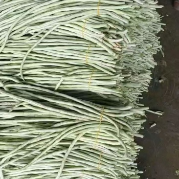 白豆角青豆角产地直发！